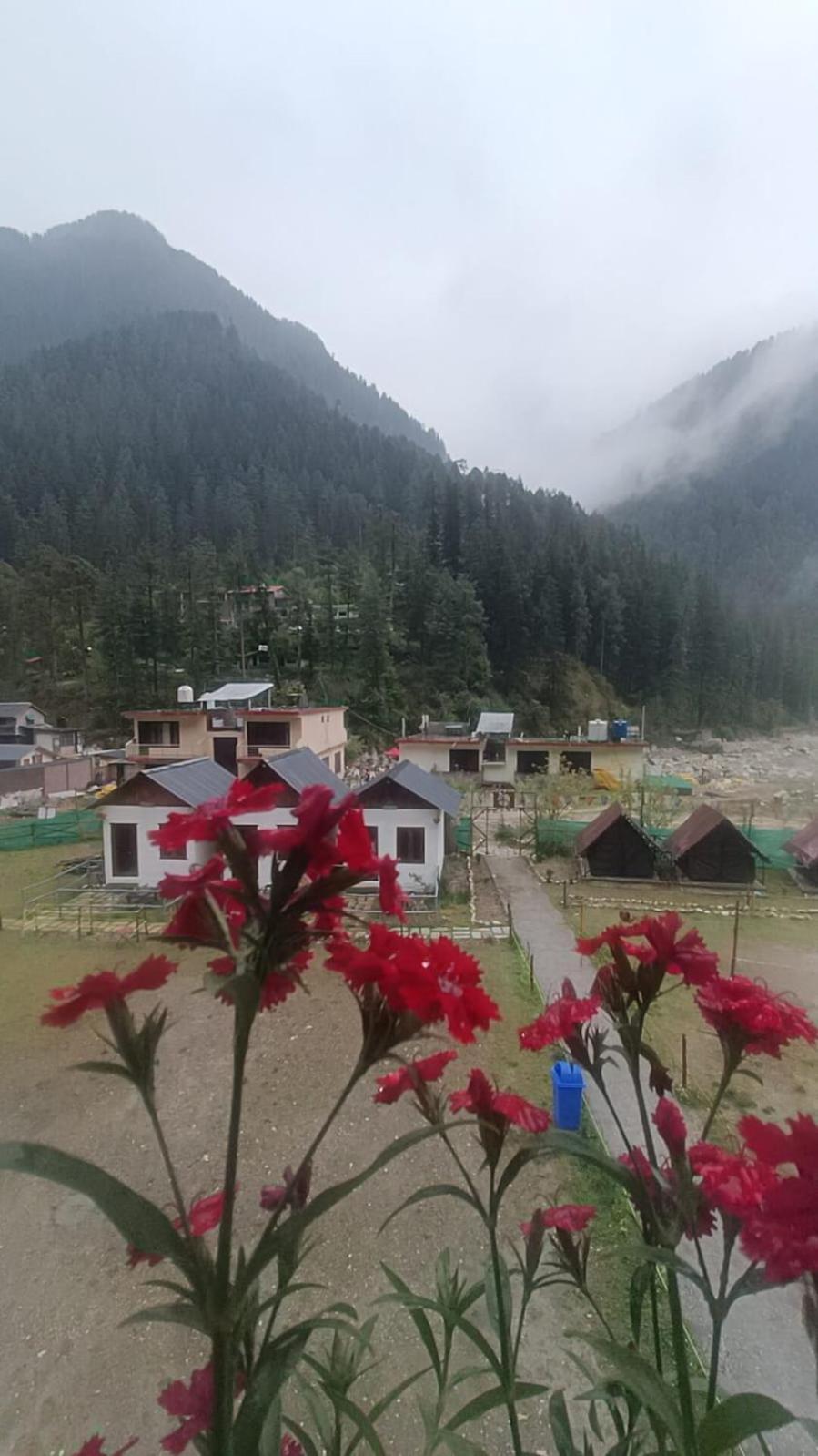 Himtrek Stay Kasol Exteriér fotografie