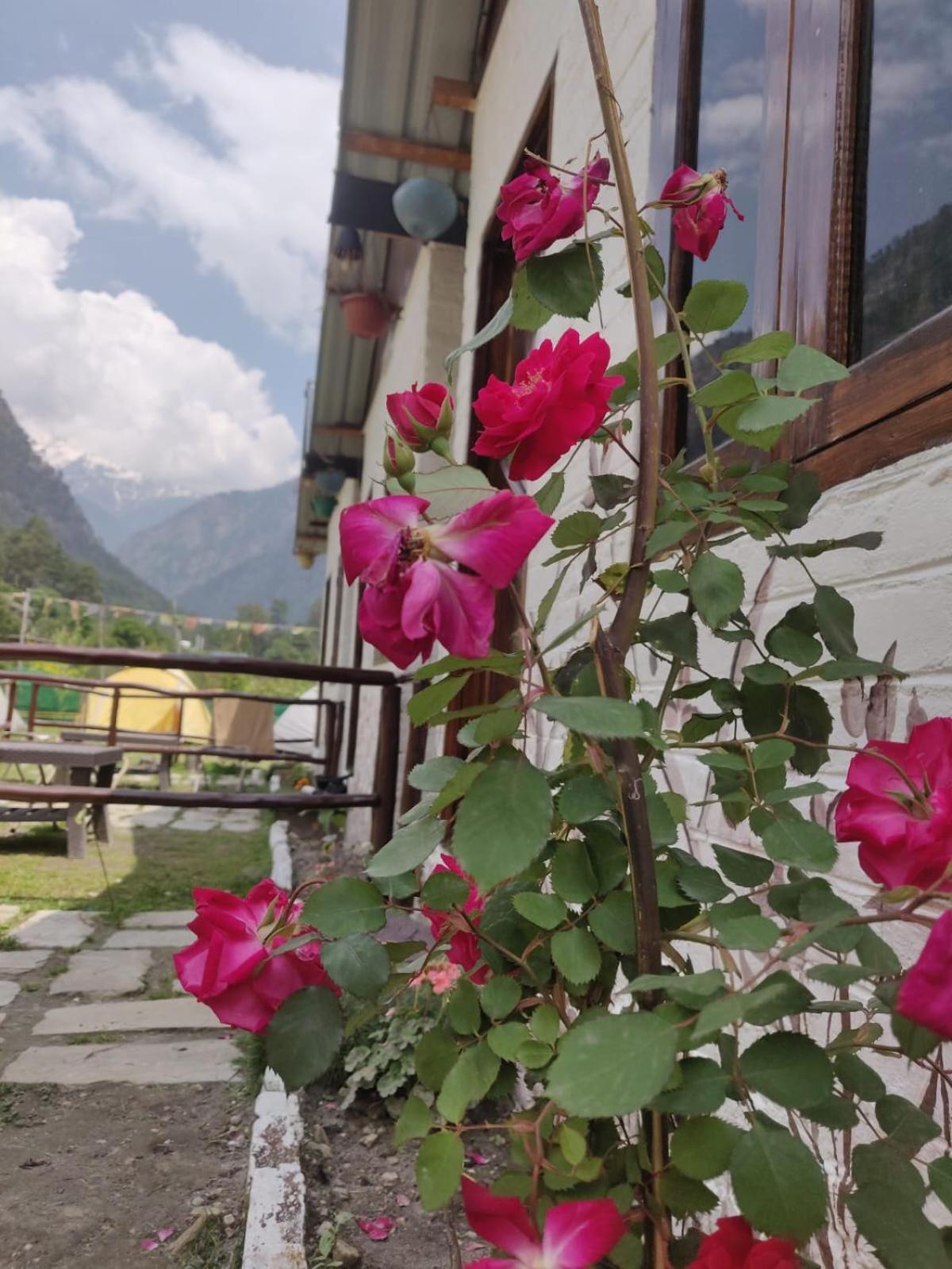 Himtrek Stay Kasol Exteriér fotografie