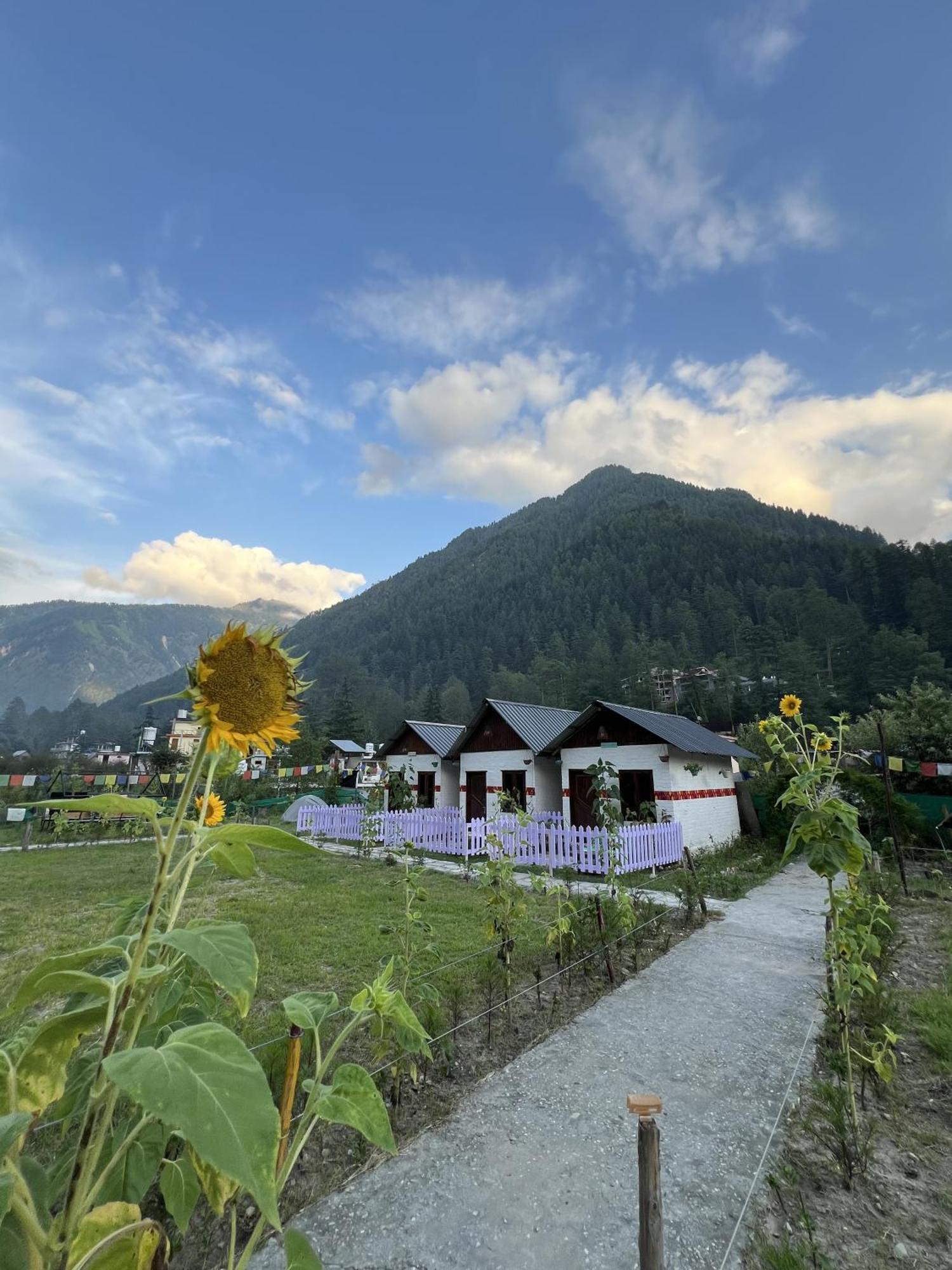Himtrek Stay Kasol Exteriér fotografie
