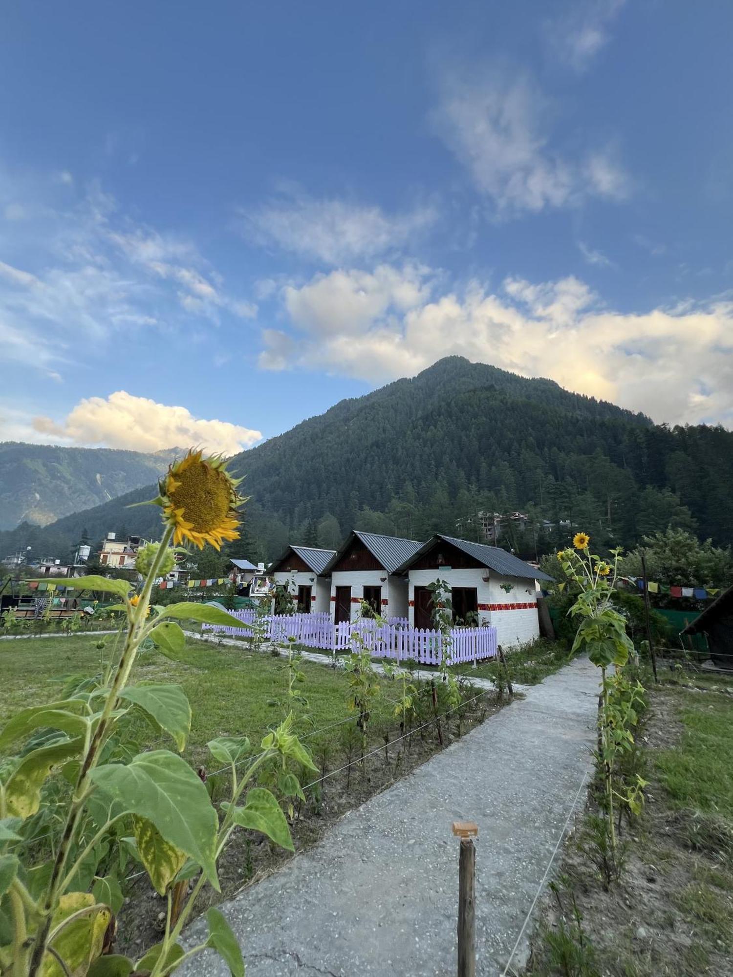 Himtrek Stay Kasol Exteriér fotografie